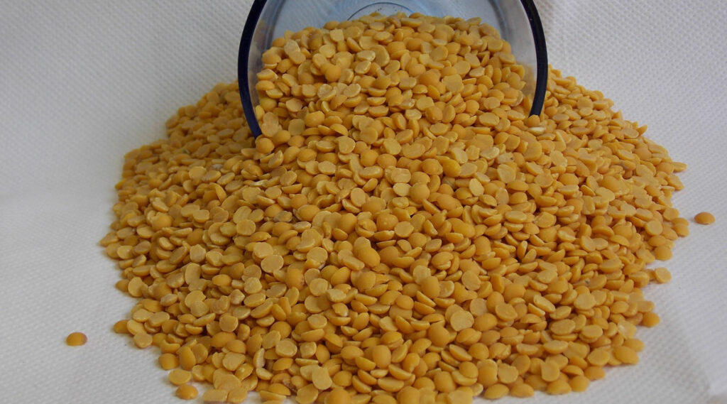 Legume Powerhouse: Unveiling the Potential Health Benefits of Pigeon Peas